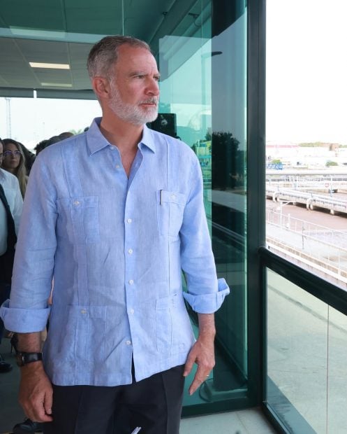 Casa Real, Rey Felipe VI, Guayabera