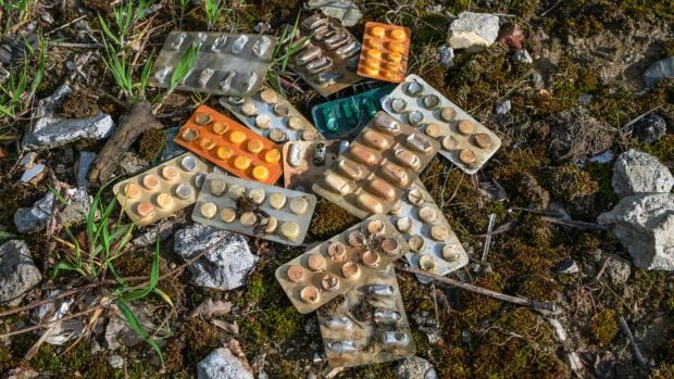 medicinas en la naturaleza