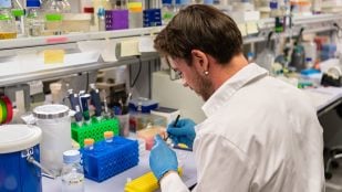 Pablo Pérez Colao, autor principal del trabajo, en el laboratorio del IBMCP (CSIC-UPV).
