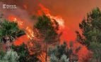 Incendio en Soneja