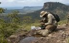 70 nuevas especies en Angola, animales en una meseta de Angola, descubrimiento científico en Angola, proyecto para descubrir animales en África.