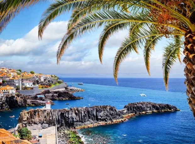 madeira, 