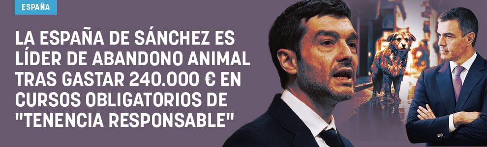 La España de Sánchez líder de abandono animal tras gastar 240.000 € en cursos obligatorios de tenencia responsable