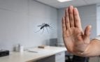 En verano se incrementa el riesgo de plagas de mosquitos y cucarachas. Generado por IA.