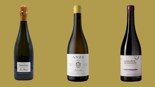 vinos brindar verano sumiller recomendaciones