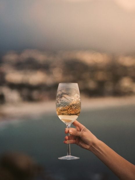 vinos brindar verano sumiller recomendaciones