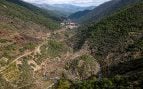 Selva Negra España
