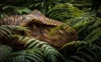 primer dinosaurio
