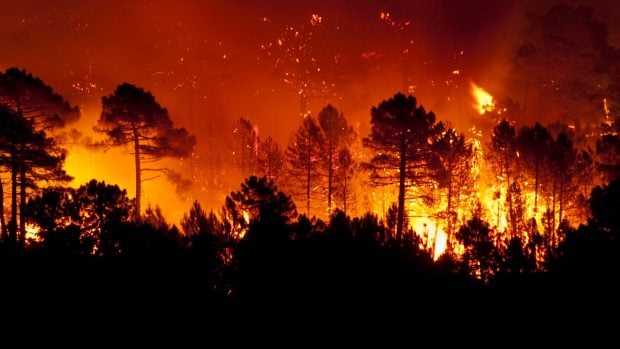 megaincendio