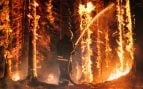 megaincendios