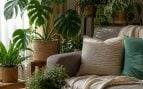 Plantas para enfriar la casa