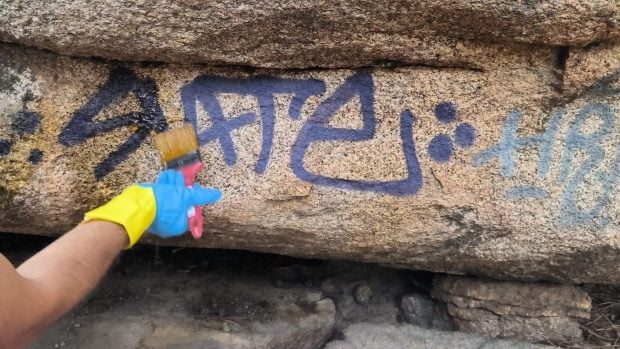 borrado de pintada la pedriza