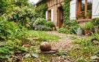 Caracol a las afueras de una casa
