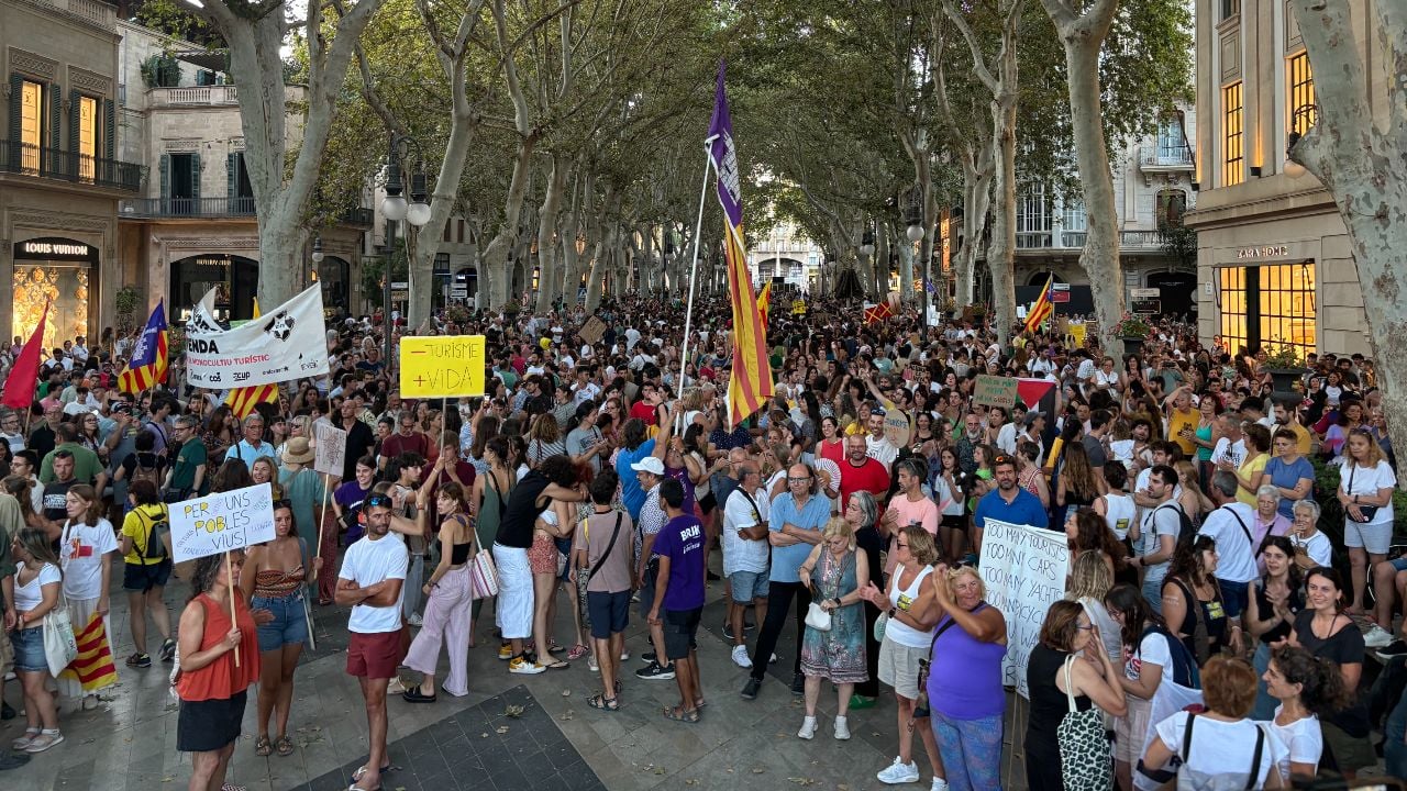 La Delegación del Gobierno advierte de que la Policía actuará contra cualquier ataque violento a negocios turísticos en Mallorca