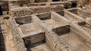 excavación arqueológica, arqueología, descubrimiento