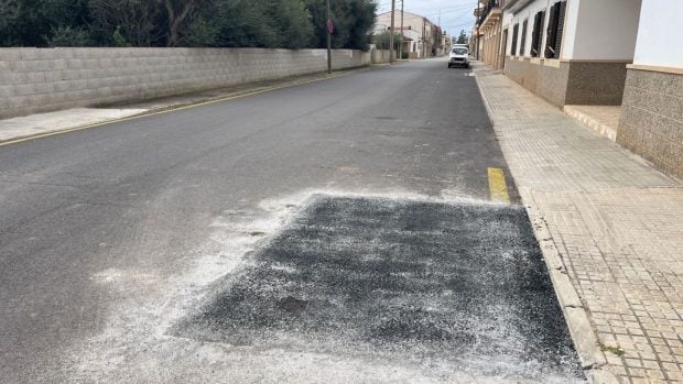 ses salines