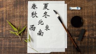 proverbio chino