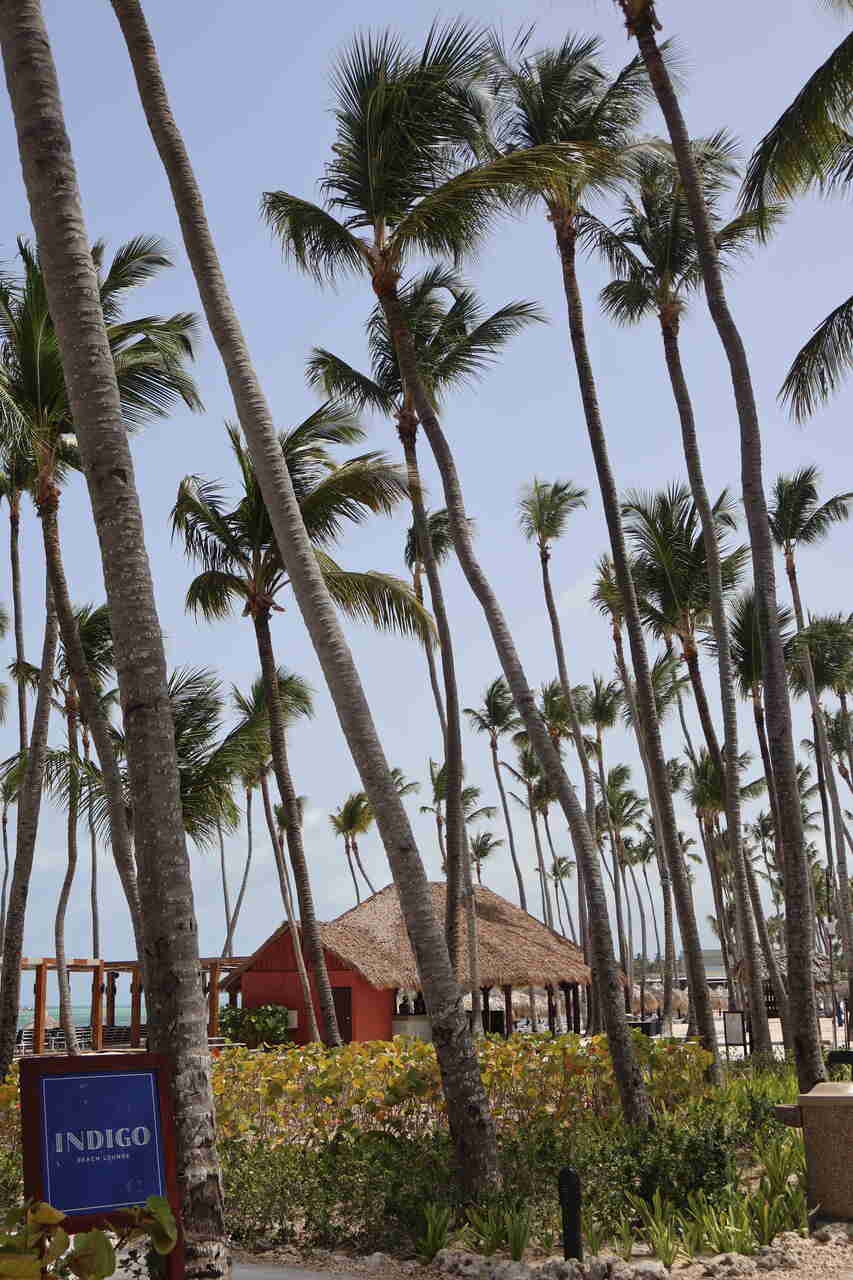 republica dominicana viaje