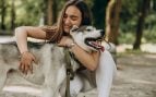 Perro, animales, mascotas