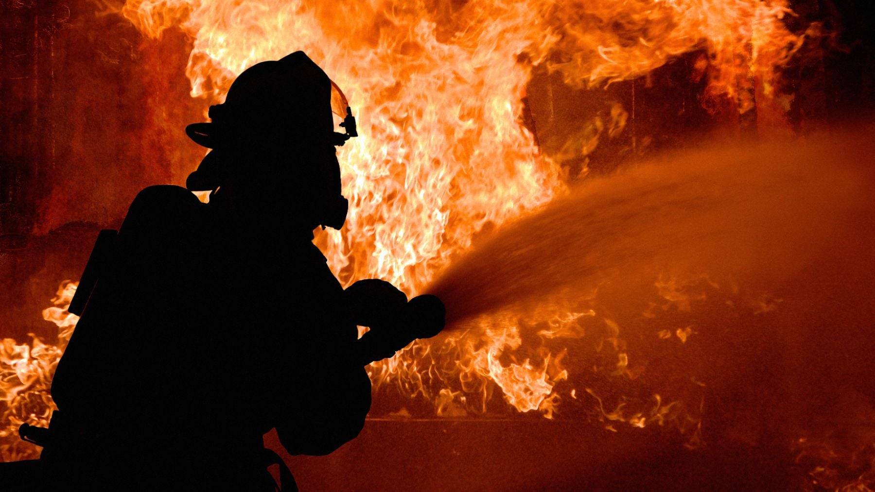 El verano es la peor época del año para los incendios forestales.