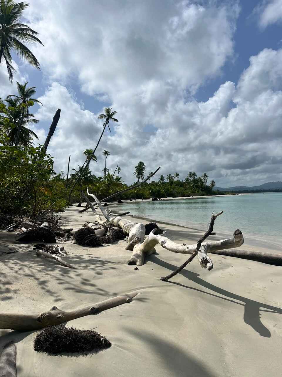 republica dominicana viaje