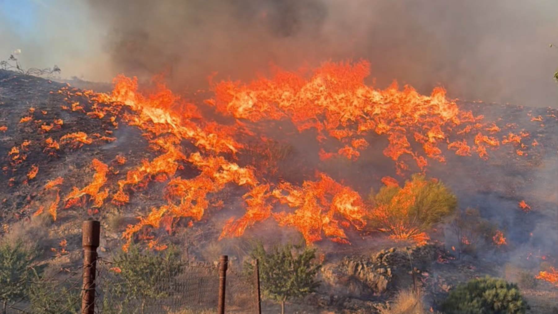 Última hora del incendio forestal en Los Gallardos (Almería), en directo | Mueren 11 personas y al menos 8 resultan heridas