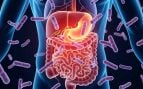 Bacterias
