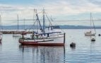Barco, pies, medidas, curiosidades