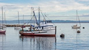 Barco, pies, medidas, curiosidades
