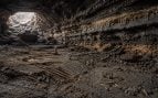 cueva, fósiles, huesos