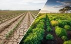cultivos cambio climático