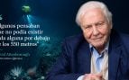 David Attenborough, frase, océanos