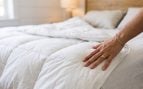 Cama
