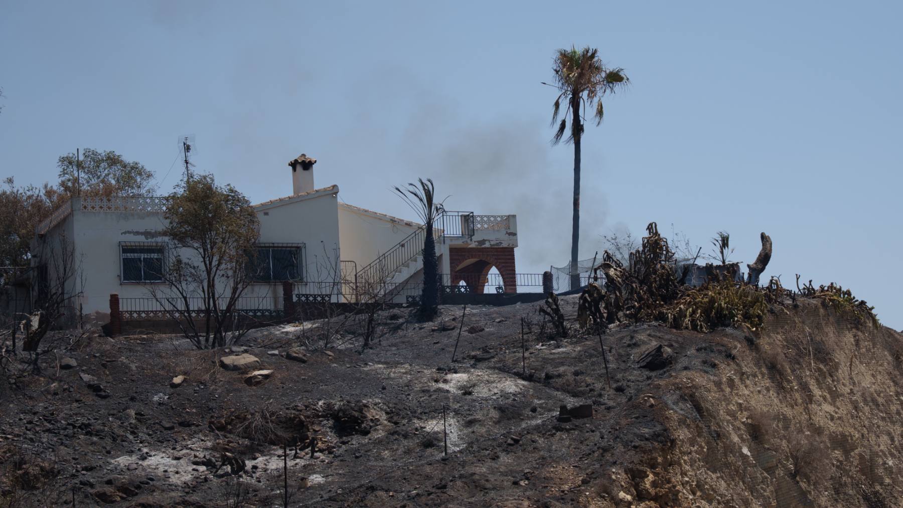 Incendio forestal en Los Gallardos (Almería), última hora en directo | Número de muertos, heridos, desaparecidos y últimas noticias en vivo