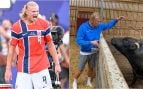 Haaland, jugando y en su vida personal