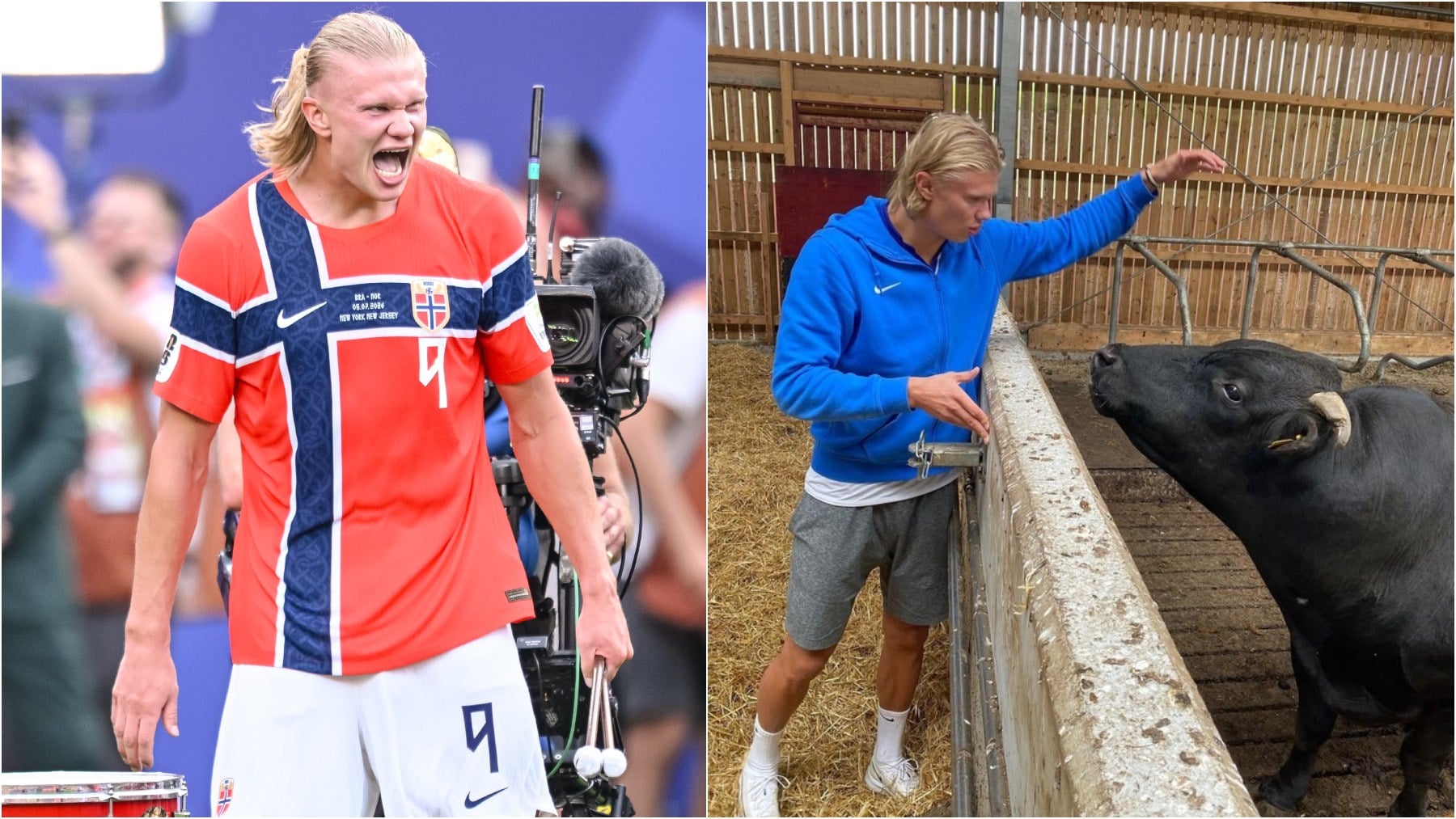 Haaland, la estrella del Mundial que sueña con ser agricultor: En el campo soy realmente yo todo el tiempo