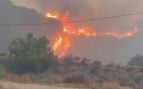 Última hora del incendio forestal en Los Gallardos (Almería), en directo | Mueren 11 personas y al menos 8 resultan heridas