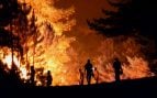 Incendio forestal en Los Gallardos
