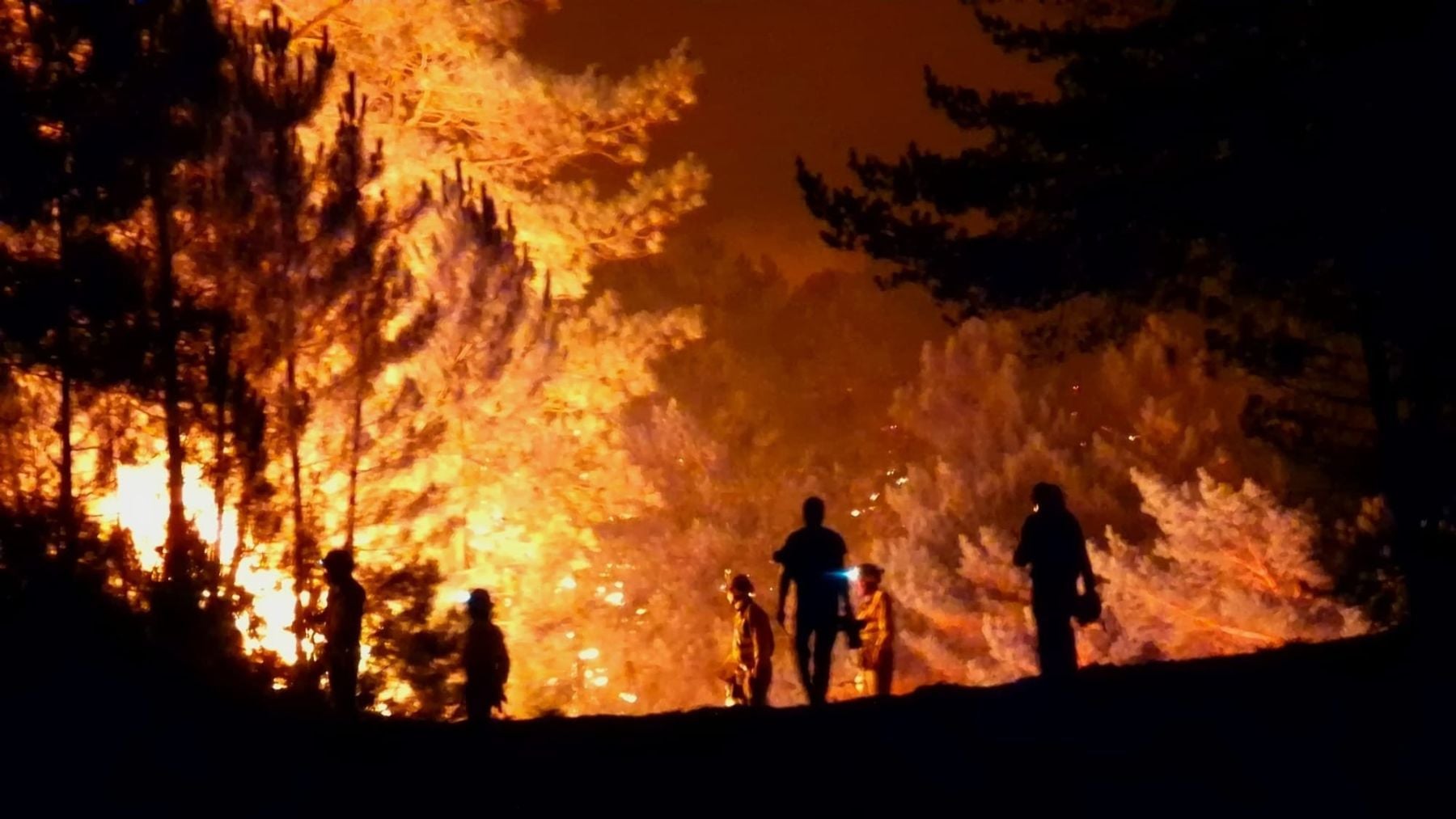 El incendio de Los Gallardos sorprendió a las víctimas en el interior de sus vehículos al intentar huir por vías alternativas