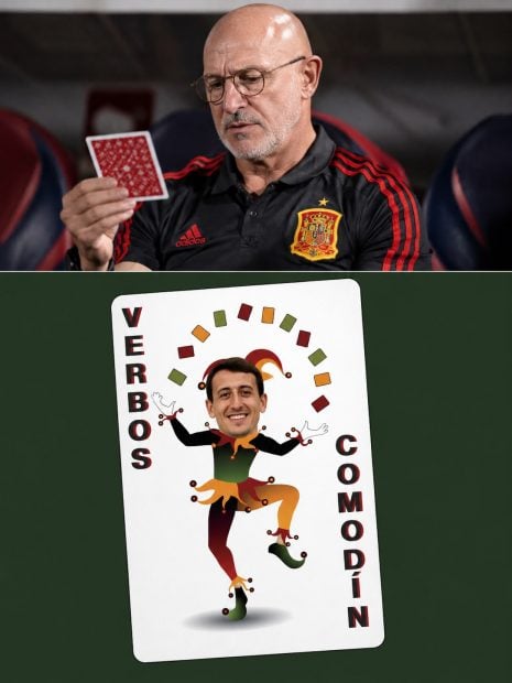 Meme Luis de la Fuente Oyarzabal