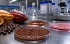 Crean cacao con IA, usan IA para producir cacao en el laboratorio, cacao con IA reduce consumo de agua y tierra.
