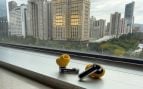 Nothing Ear (3a)