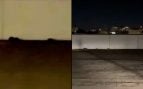 ratas Es fortí palma plaga