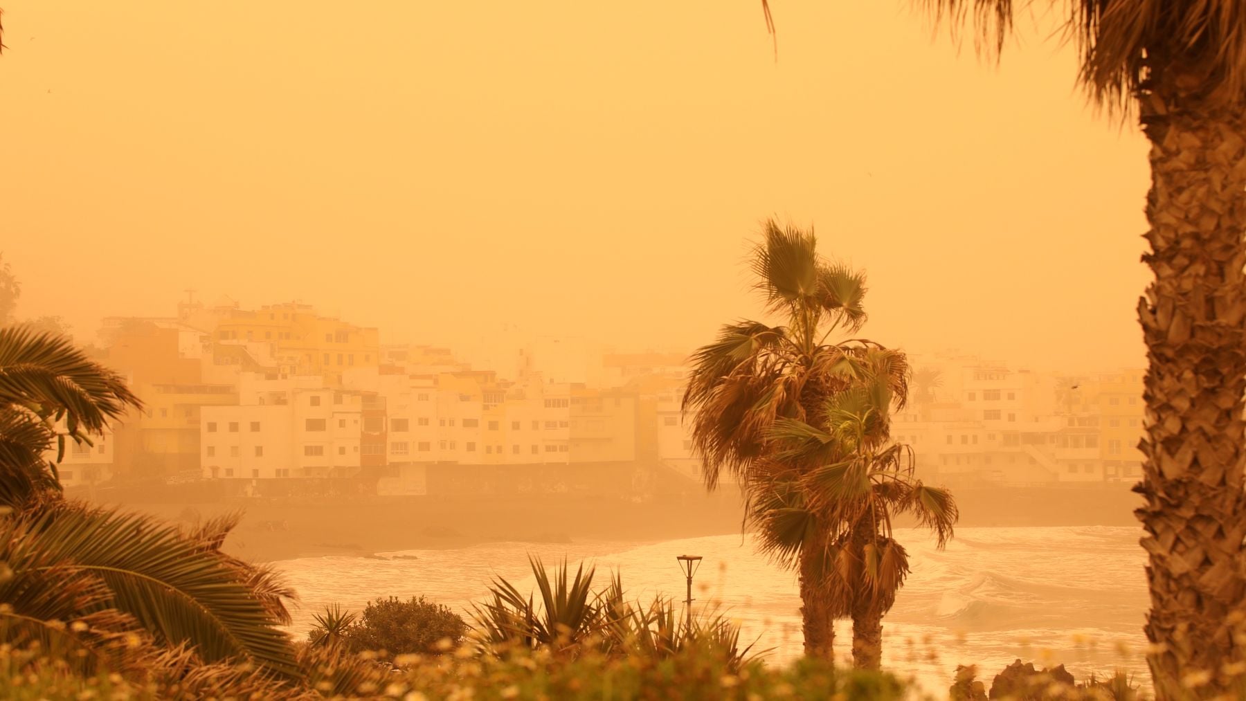 Cuando pensábamos que el calor había terminado, llega la AEMET y pone fecha a la próxima ola de calor en España. Llegará el sábado con aire africano que traerá calima
