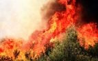 Incendios activos en España hoy, en directo: evacuados, heridos, muertos y última hora del fuego en Madrid