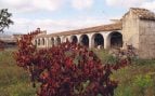 Construcción, Alicante, bodega, vinos
