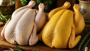 Pollo con piel blanca o amarilla