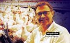Avícola Son Perot reta al alcalde radical de Manacor que rechaza una macrogranja de pollos: el ayuntamiento no decide