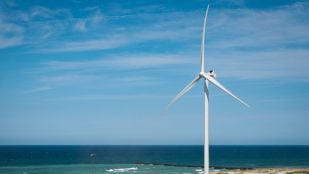 Molino de viento en la playa. Foto: Freepik wirestock