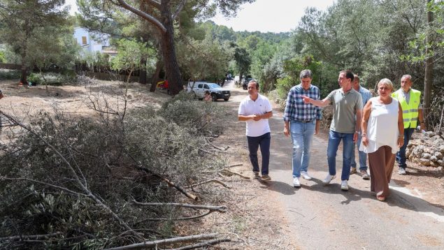 Mallorca se pone manos a la obra para reducir el riesgo de incendio en ...